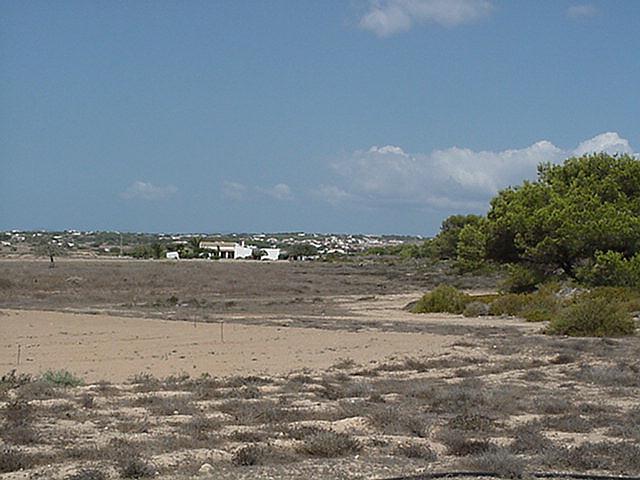 Barren fields - Formentera, September 2000