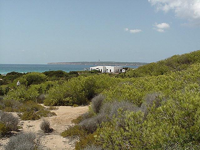 Playa Migjorn to Cap de Berberia - Formentera, September 2000